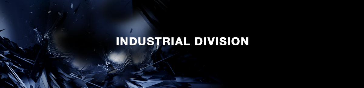 INDUSTRIAL DIVISION