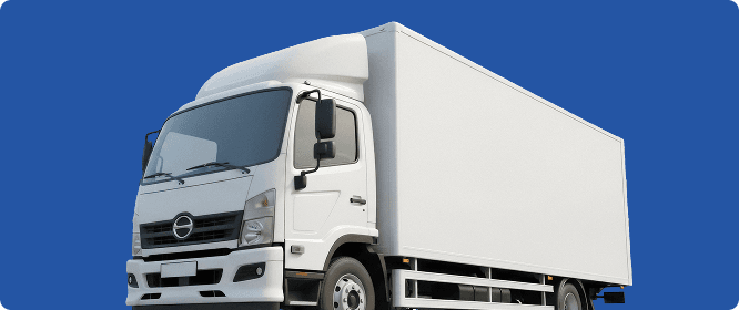 Sales & Warranty Policy